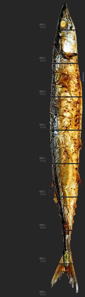 秋の訪れを感じる LINEスタンプ Cololabis Saira サンマ AFK