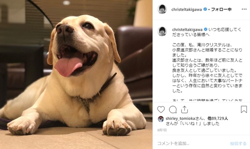 滝川クリステル 結婚式 小泉進次郎 弟 新郎新婦