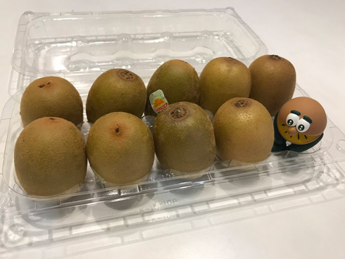 キウイに混ざるキウイブラザーズの様子