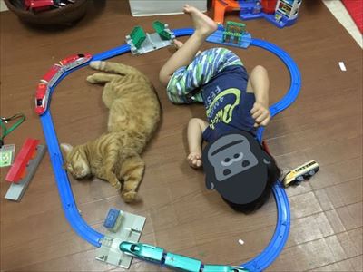 冷気が忘れられない猫ちゃん