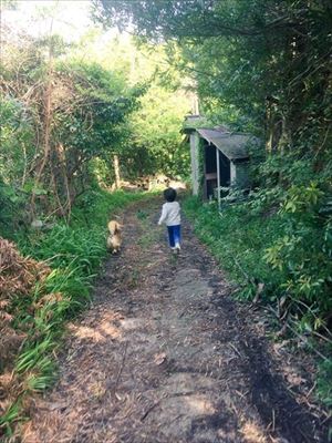 冷気が忘れられない猫ちゃん