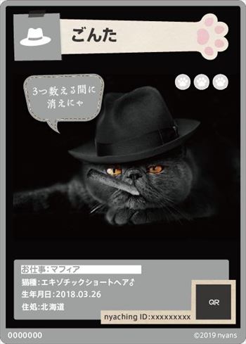 ニャンズカード