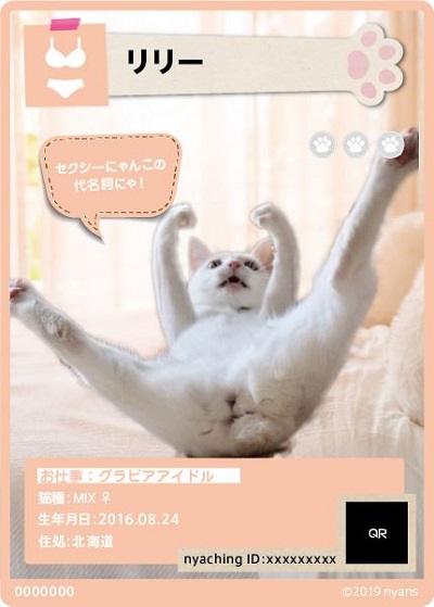 ニャンズカード