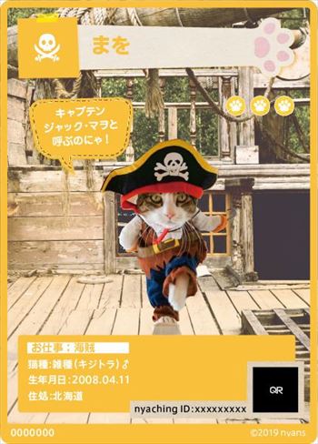 ニャンズカード