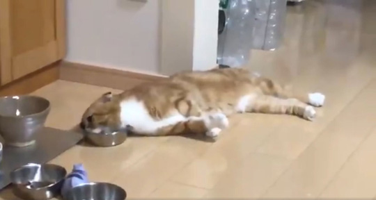 ゆきおさん