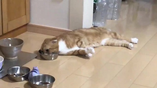 ゆきおさん
