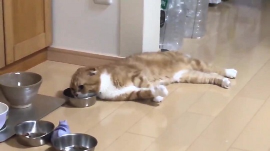 ゆきおさん