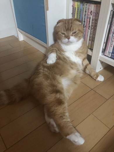 ゆきおさん