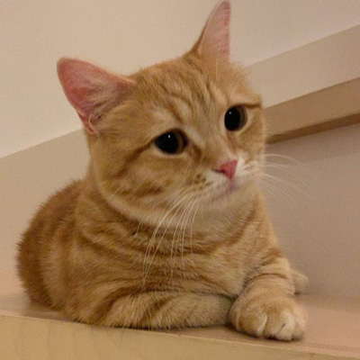 ぷーちゃんアップ