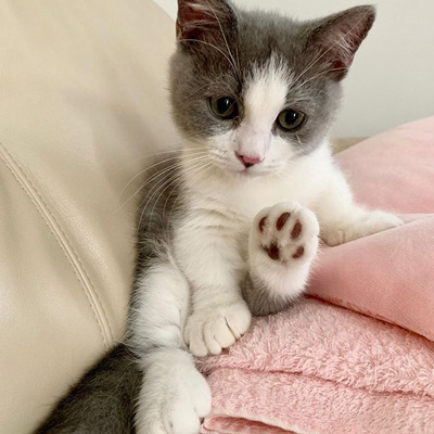 さちまるくんアップ