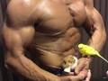 「キレてるよ！」「ナイスもふもふ」 マッチョがハムスターやインコと一緒にサイドチェストする動画が謎の中毒性