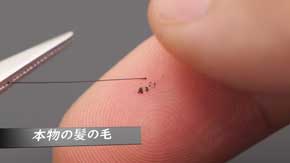 全て 人間の毛 人毛 犬 羊毛フェルト バレッタ 手作り マネキン 髪 圧倒的不審者の極み YouTube