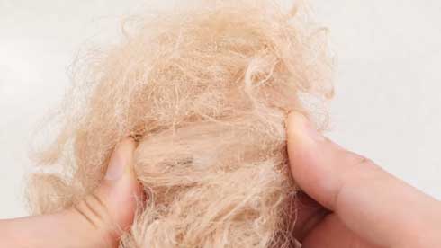 全て 人間の毛 人毛 犬 羊毛フェルト バレッタ 手作り マネキン 髪 圧倒的不審者の極み YouTube