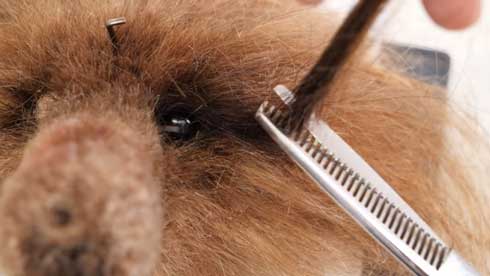 全て 人間の毛 人毛 犬 羊毛フェルト バレッタ 手作り マネキン 髪 圧倒的不審者の極み YouTube