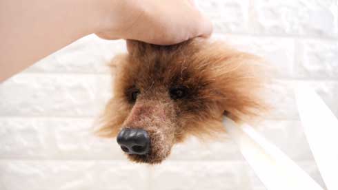 全て 人間の毛 人毛 犬 羊毛フェルト バレッタ 手作り マネキン 髪 圧倒的不審者の極み YouTube