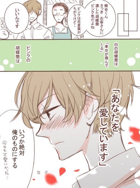 Hoshimi1616 花言葉 年齢差