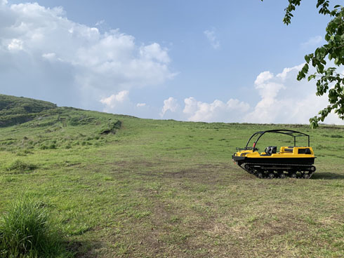 ドジっ子選手権