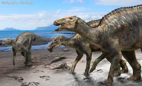 カムイサウルス・ジャポニクス むかわ竜 新属新種 恐竜 命名 ハドロサウルス科 北海道