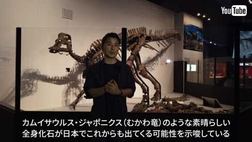 カムイサウルス・ジャポニクス むかわ竜 新属新種 恐竜 命名 ハドロサウルス科 北海道