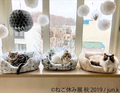 「ねこ休み展」名古屋