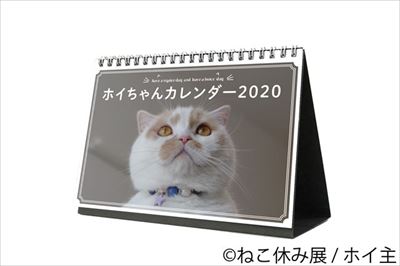 「ねこ休み展」名古屋