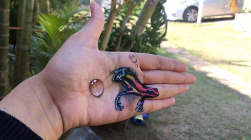 手のひらアート