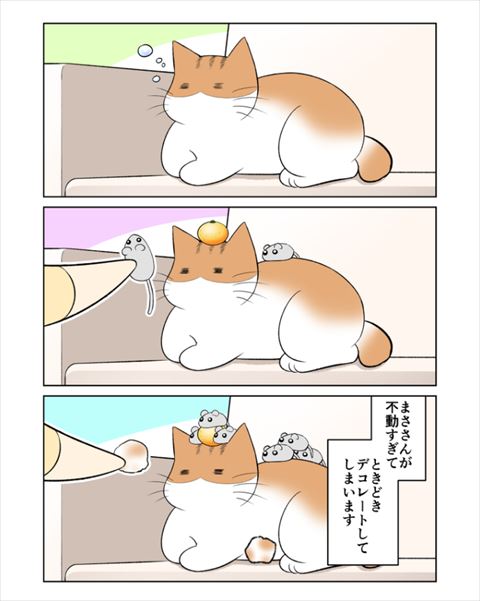 猫
