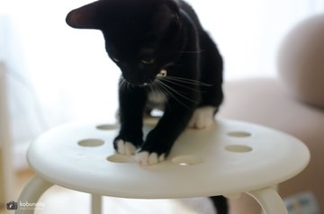 ジャストフィット