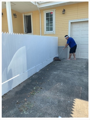 若乃花 千葉県南部 停電 富津市 台風15号 報道