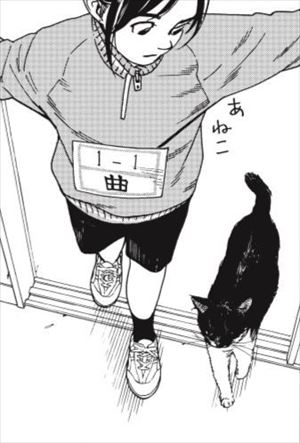 君は放課後インソムニア