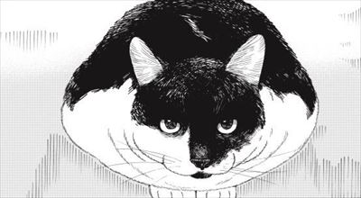 君は放課後インソムニア