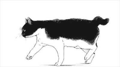 君は放課後インソムニア