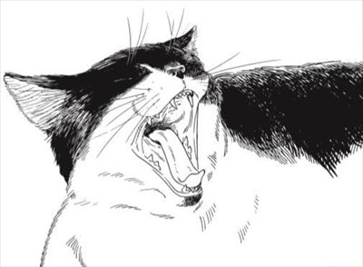 君は放課後インソムニア