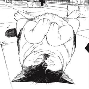 君は放課後インソムニア