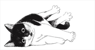 君は放課後インソムニア