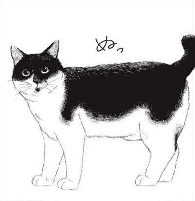 君は放課後インソムニア