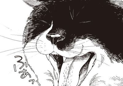 君は放課後インソムニア