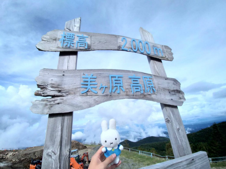 1人で旅に出る彼氏にミッフィーを預けた結果　絶景を満喫するぬいぐるみの写真にほっこりする人続出