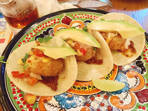 ロボットゲーム座談会