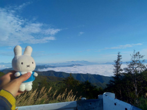 ミッフィーと旅写真