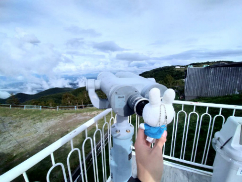 ミッフィーと旅写真