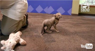 Exploring a New Space