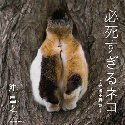 必死すぎるネコ〜前後不覚篇〜