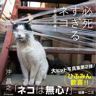 必死すぎるネコ〜前後不覚篇〜