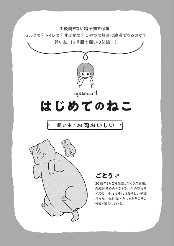 お肉おいしい『はじめてのねこ』1