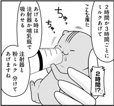  お肉おいしい『はじめてのねこ』