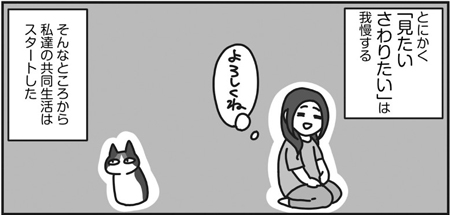 おたべ『三毛猫ふうちゃんは人見知り』