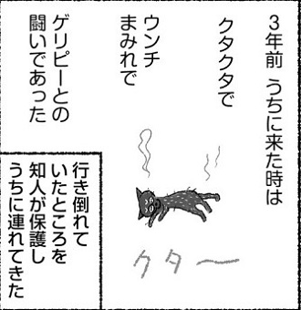  simico『サビちゃん ゲリ戦記』