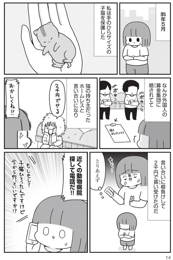 お肉おいしい『はじめてのねこ』2