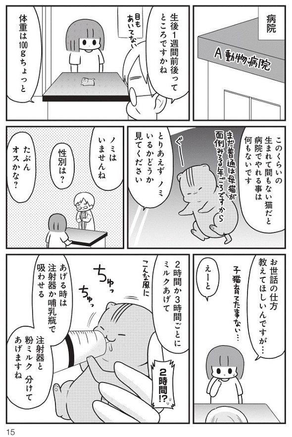 お肉おいしい『はじめてのねこ』3